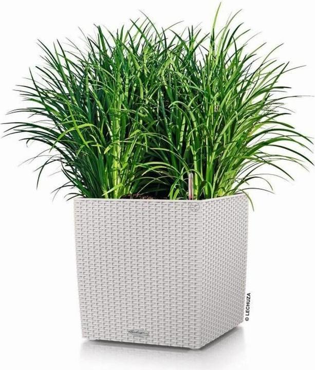 Produktbild Lechuza Blumentopf Cube Cottage 50 (50 x 50 x 49.50 cm)