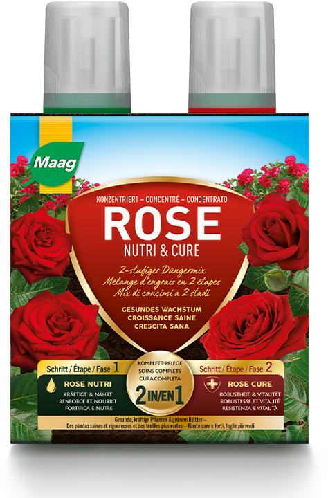 Maag Rose Nutri & Cure (0.49 kg, 0.50 l)
