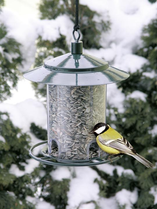 Actual product image Windhager Birdfeed Silo Compact