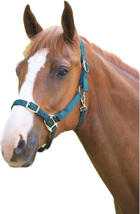 Produktbild Shires Pferdehalfter Verstellbar