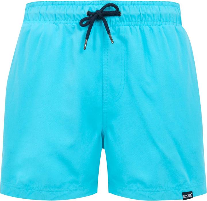 Produktbild Regatta Mawson II Kurze Hose (L)