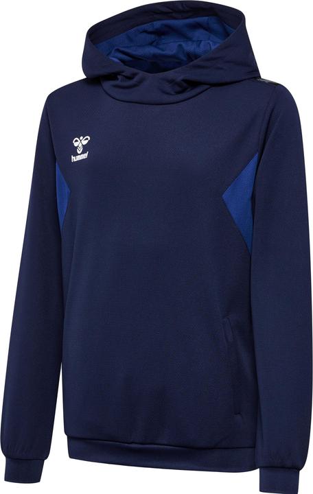 Image du produit hummel Hmlauthentic Pl Hoodie Kids (128)
