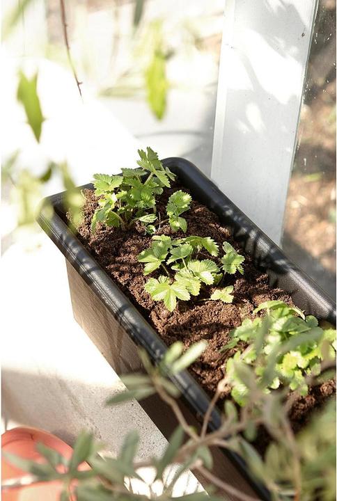 Produktbild Orthex Botanica