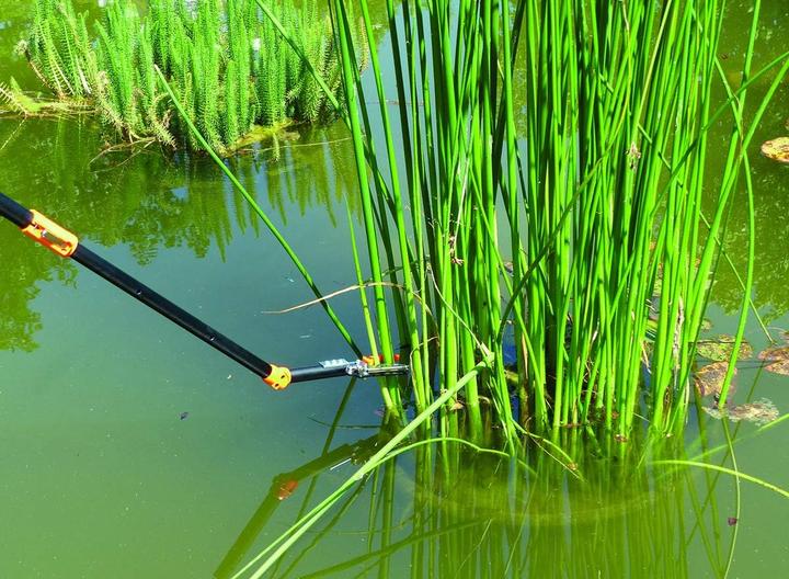 Produktbild Primus Rosenschere