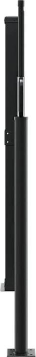 Actual product image VidaXL Extendable side awning (6 m)