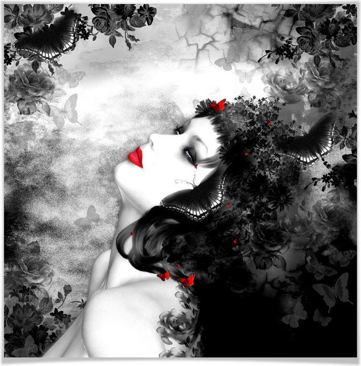 Produktbild Trenddeko Schwarzer Falter Imago (70 x 70 cm)