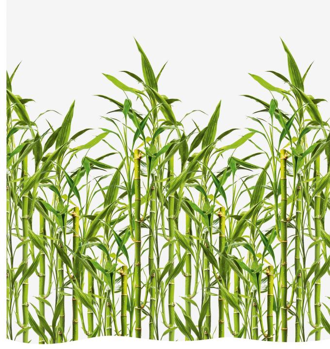 Actual product image Diaqua Shower curtain textile Bamboo (120 x 200 cm)