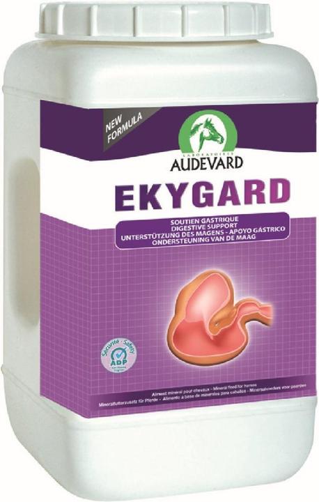 Immagine prodotto Ravene Ekygard (2400 g)