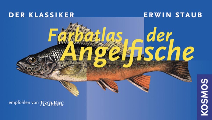 Immagine prodotto Kosmos Farbatlas der Angelfische (Tedesco, Polvere di Erwin, 2000)