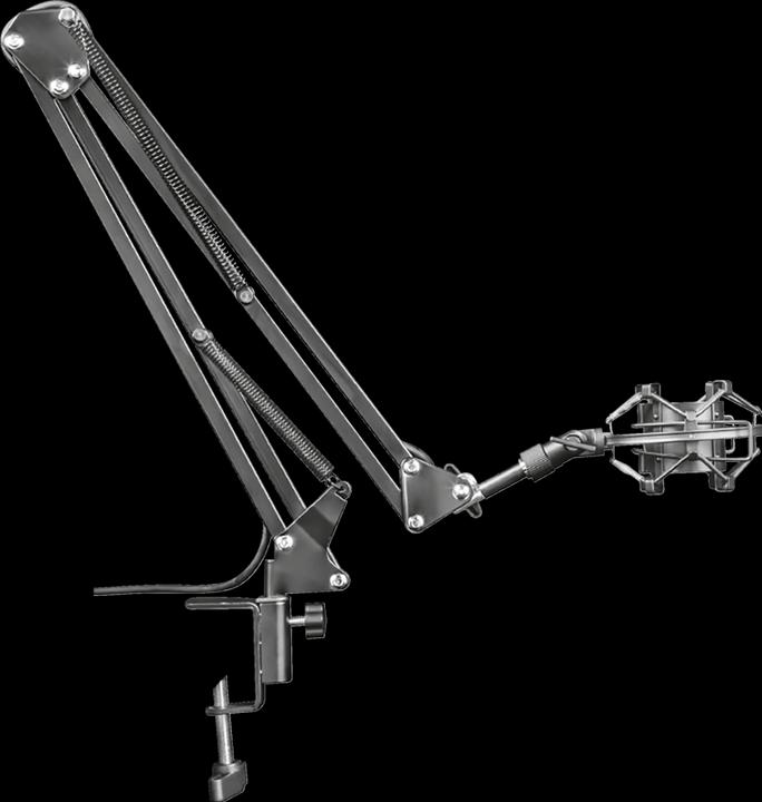 Immagine prodotto Trust GXT 253 Emita Braccio del microfono in streaming GXT 253