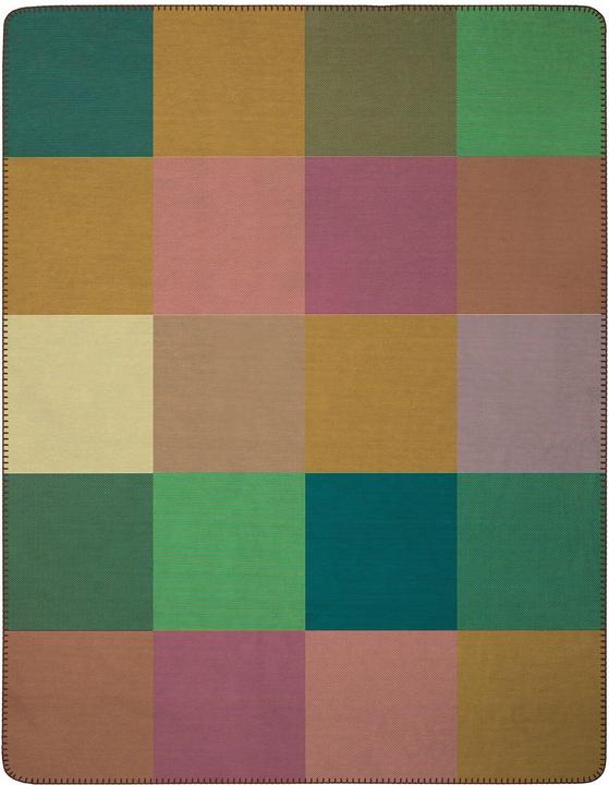 Biederlack Wohndecke Flash Check (200 x 150 cm)