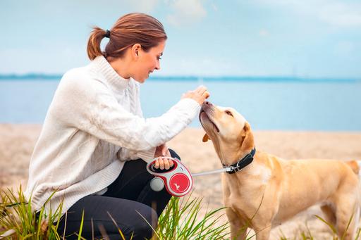 Actual product image Flexi New Comfort (L, Dog, Walks)