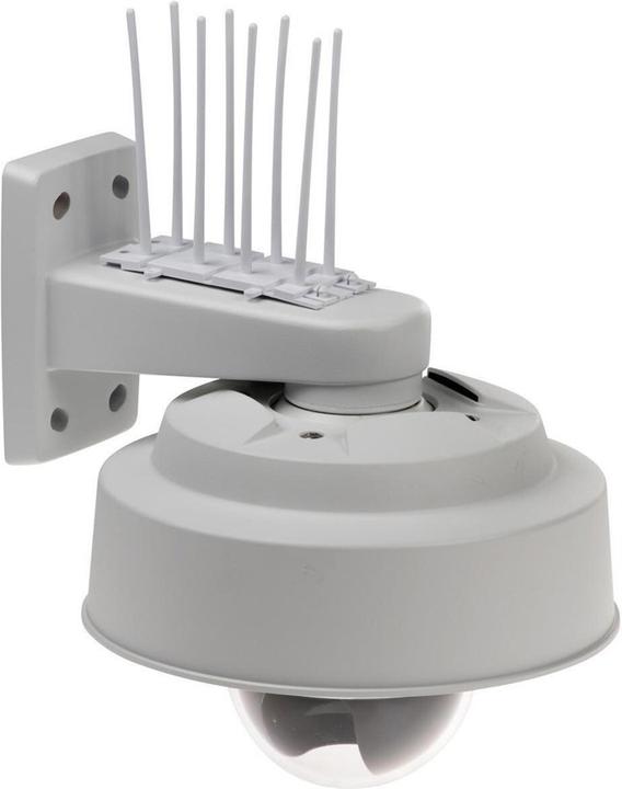 Productafbeelding Axis Vogelbestrijding Spike (Montageset)