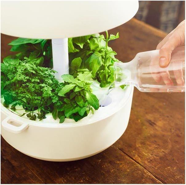 Produktbild Plantui Smart Garden (29 cm)