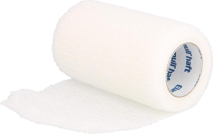 Produktbild BSN Elastomull haft kohäsive elastische Fixierbinde