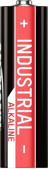 Actual product image Ansmann Industrial (10 pcs., AA, 2700 mAh)