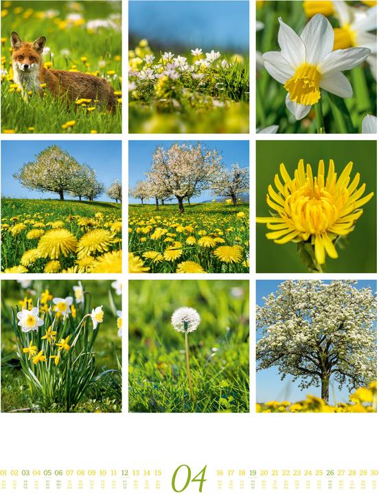 Image du produit Inspiration Natur Kalender 2026 (Couverture rigide, Anglais, Français, Allemand)