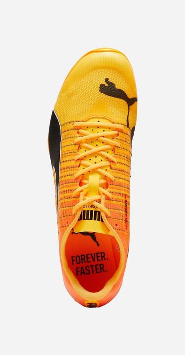Actual product image Puma evoSpeed Sprint Nitro 2 (43)