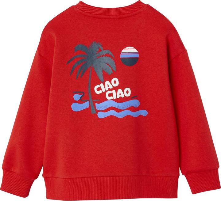Produktbild Vertbaudet Jungen Sweatshirt mit Urlaubsmotiv hinten, Recycling-Polyester (158, 164)