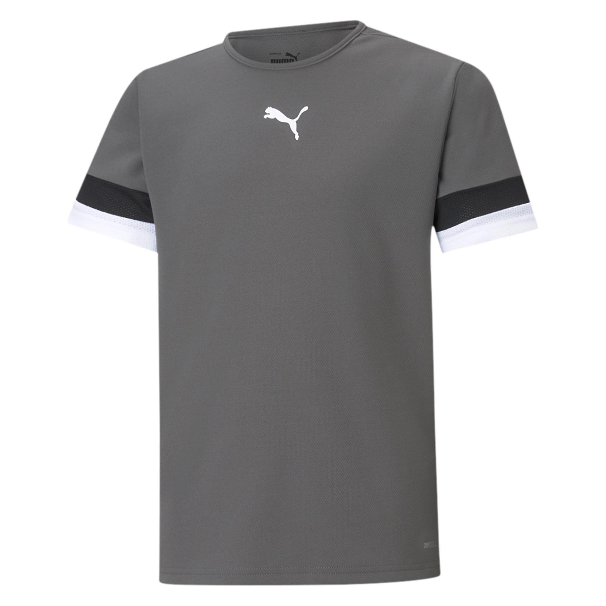 Puma, Jongens, Sportief Shirt, TeamRISE Jersey Jr-704938 (164), Grijs, 164