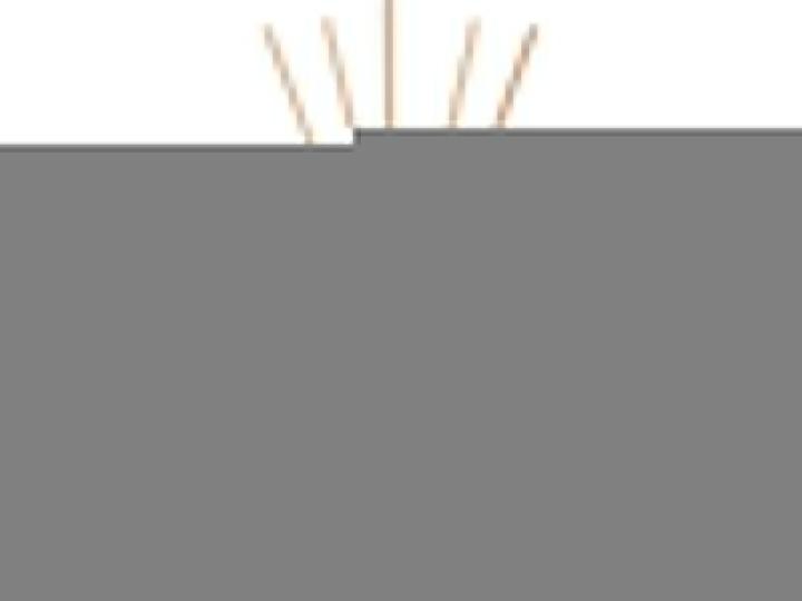 Actual product image Ava & May Bahamas (100 ml)