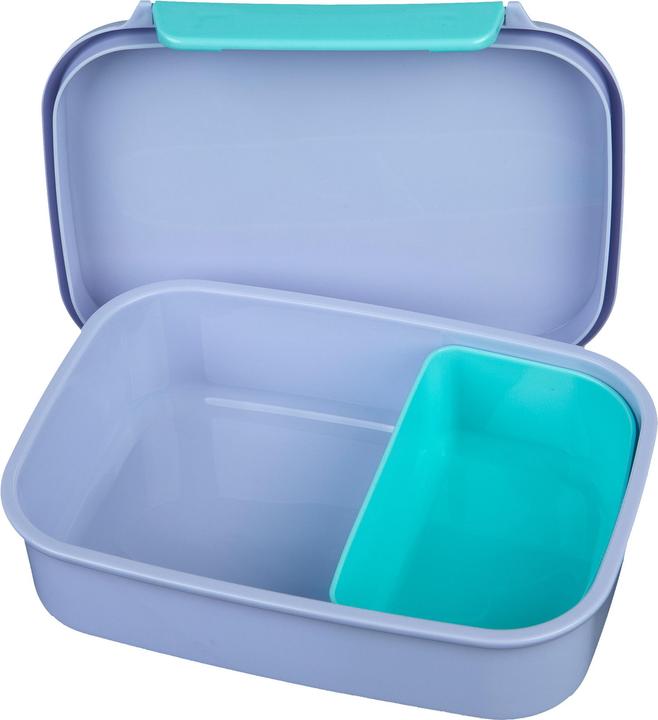 Actual product image Scooli Frozen Lunch Box