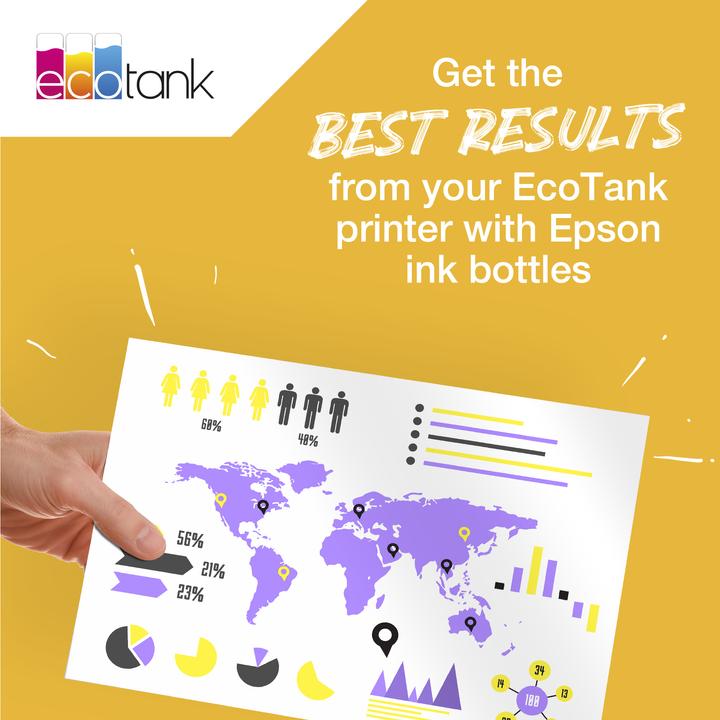 Productafbeelding Epson 113 (C)