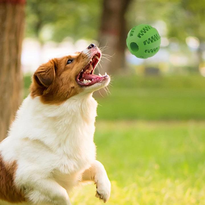 Actual product image Out of the blue Interactive dog toy rubber ball with food dispenser (Intelligence toy dog)