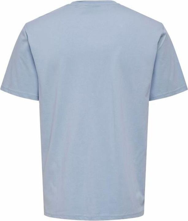 Produktbild Only & Sons Onslevi Life Reg Text Ss Tee Noos (M)