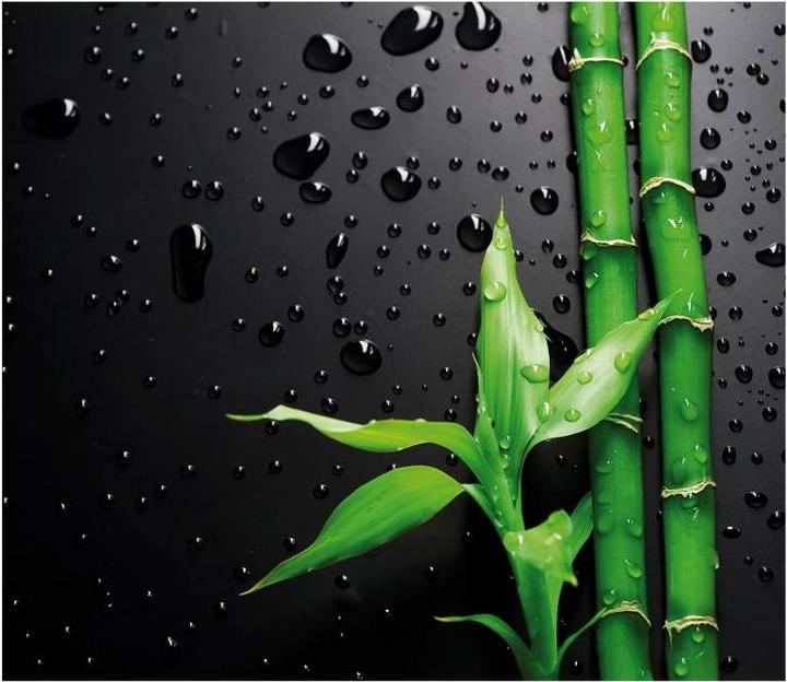 Produktbild Trenddeko Bamboo over Black