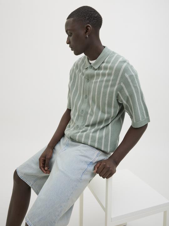 Actual product image Jack & Jones Gestreift Poloshirt Poloshirt (XS)