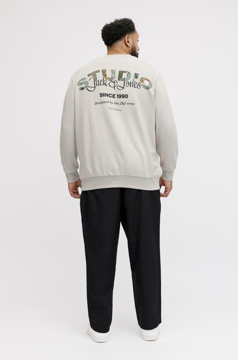 Produktbild Jack & Jones Plus Size Gedruckt Sweatshirt Sweatshirt
