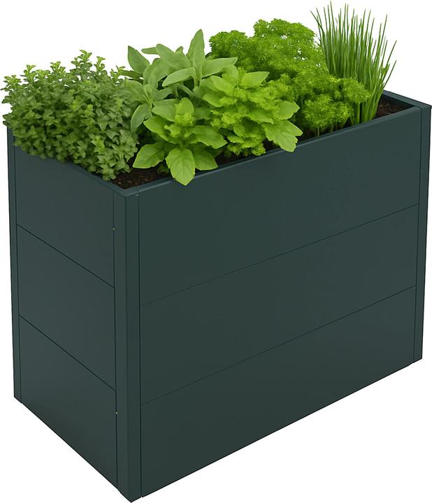 Actual product image MCW P64-E