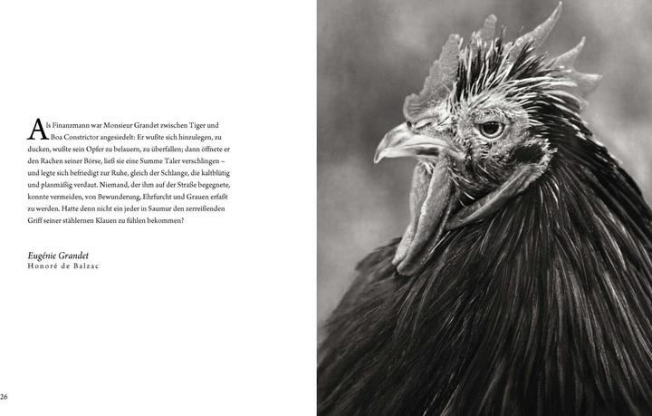 Produktbild Literarische Hühner (Deutsch, Beth Moon, 2018)