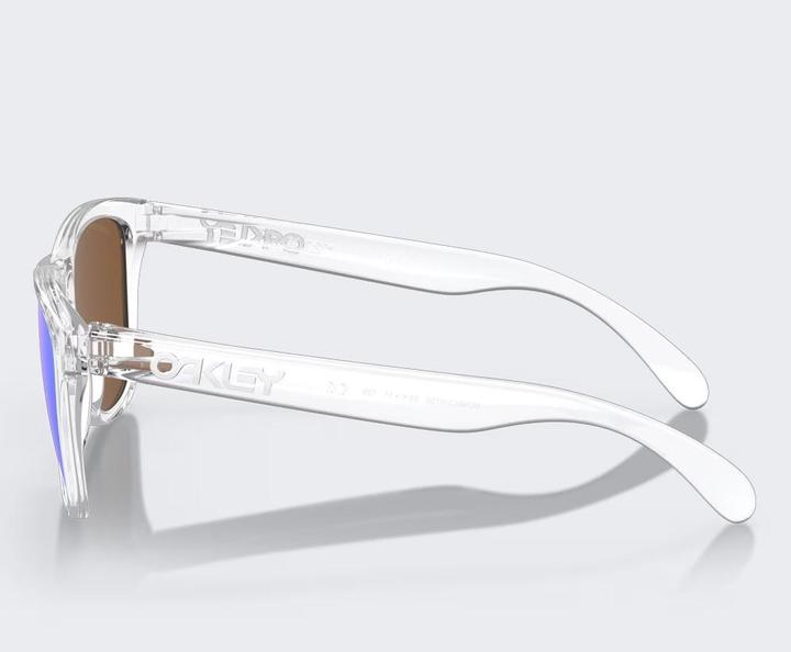 Actual product image Oakley Frogskins