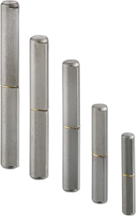 Produktbild Charmag Bandrolle (Scharnier) Türband ø 20x180 mm mit Zwischenring Stahl blank