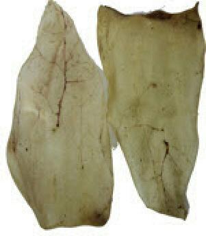 Actual product image Kyli Beef ears (Adult, 50 pcs., 1260 g)
