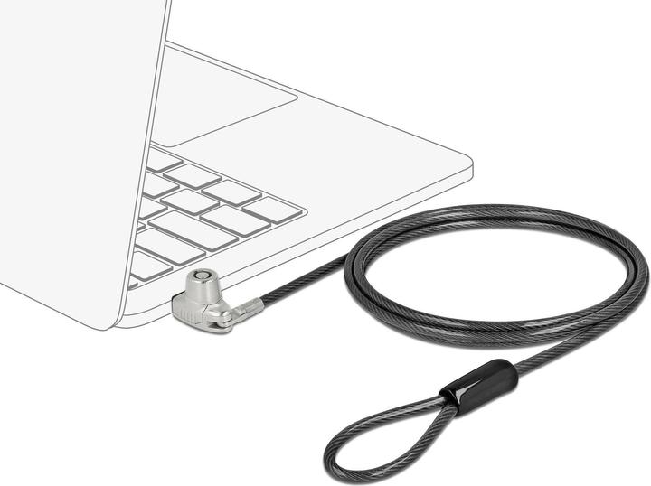 Actual product image Delock Security lock with key for nano slot