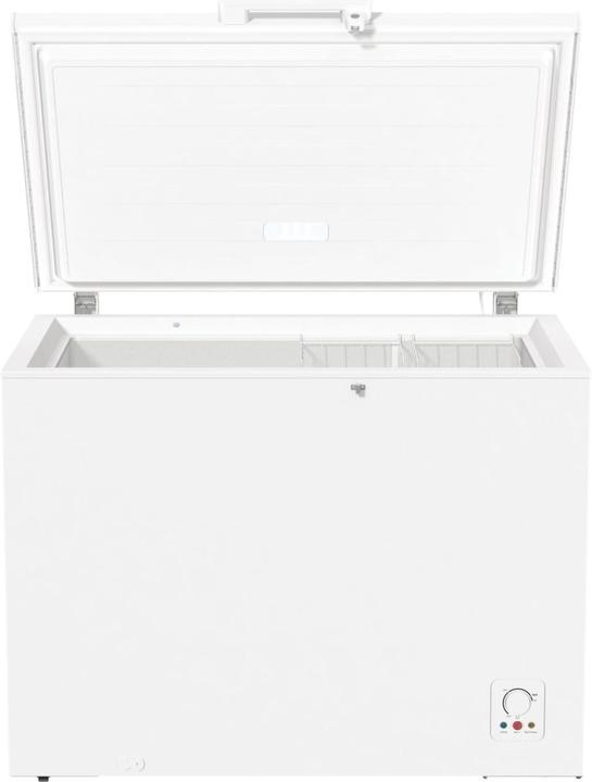 Actual product image Gorenje FH302CW Industrial Fridge Freezer Freestanding E (Stand-alone, 303 l)