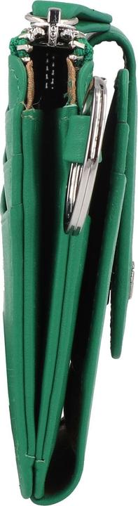Produktbild Braun Büffel JOY RFID fern green