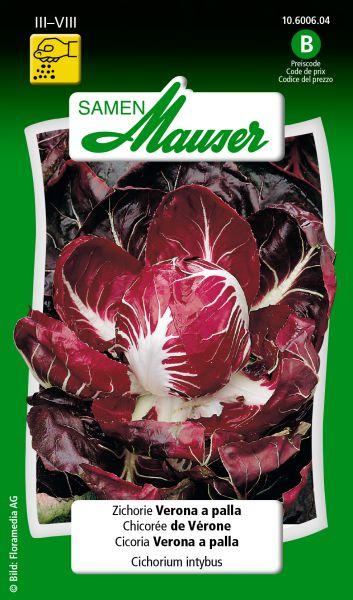 Image du produit Samen Mauser Chicorée Vérone a palla (Graines de légumes)