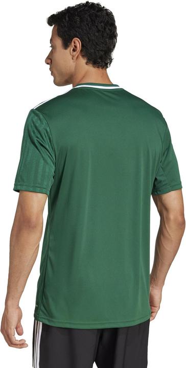 Produktbild adidas Campeon 25 Trikot (XL)