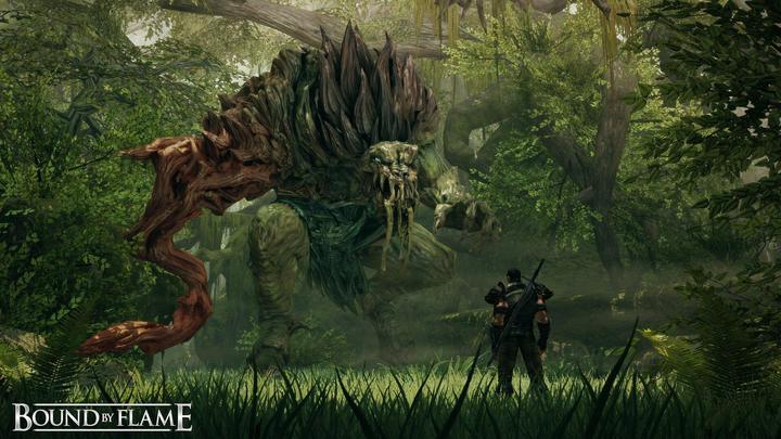 Produktbild Focus Home Interactive Bound by Flame (PC)
