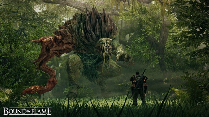 Focus Home Interactive Bound by Flame (PC)