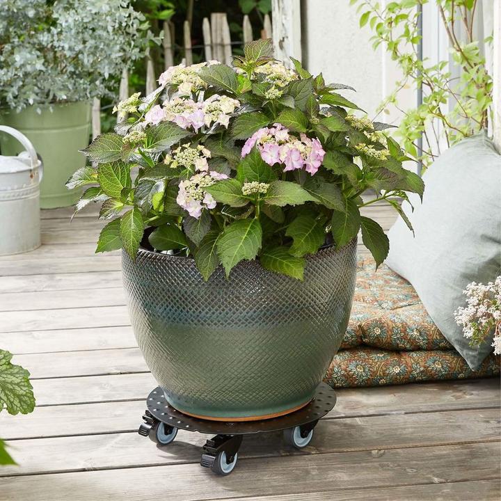 Immagine prodotto Wagner System Rullo di trasporto