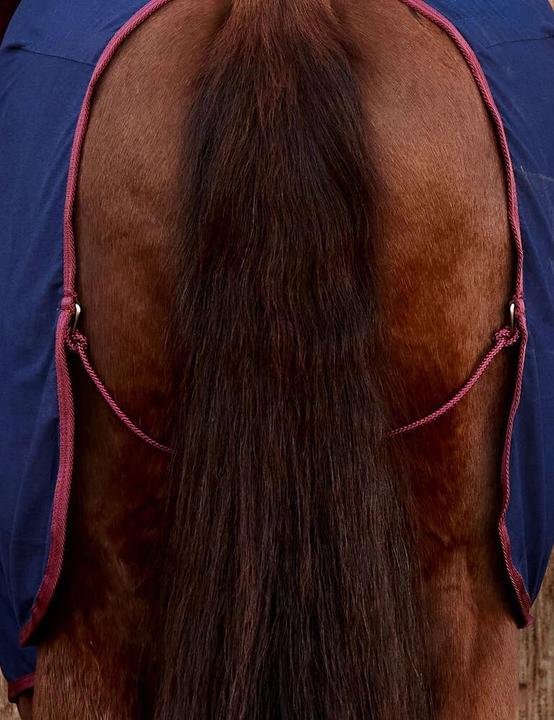 Immagine prodotto Weatherbeeta Coperta (155 cm)