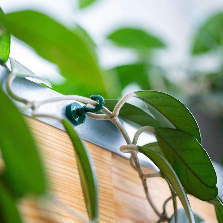 Produktbild Supermagnete Hakenmagnet (4x)