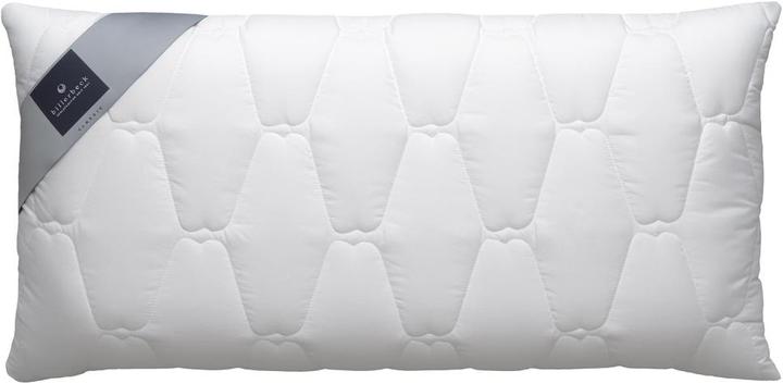 Immagine prodotto Billerbeck Novum (50 x 70 cm)
