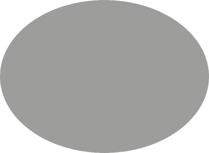 Immagine prodotto Pentel Penna a pennello Colore Pennello grigio (Grigio, 1 x)