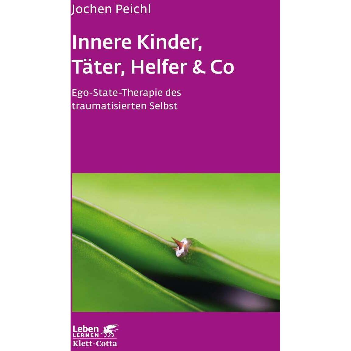 Innere Kinder, Täter, Helfer & Co, Fachbücher von Jochen Peichl